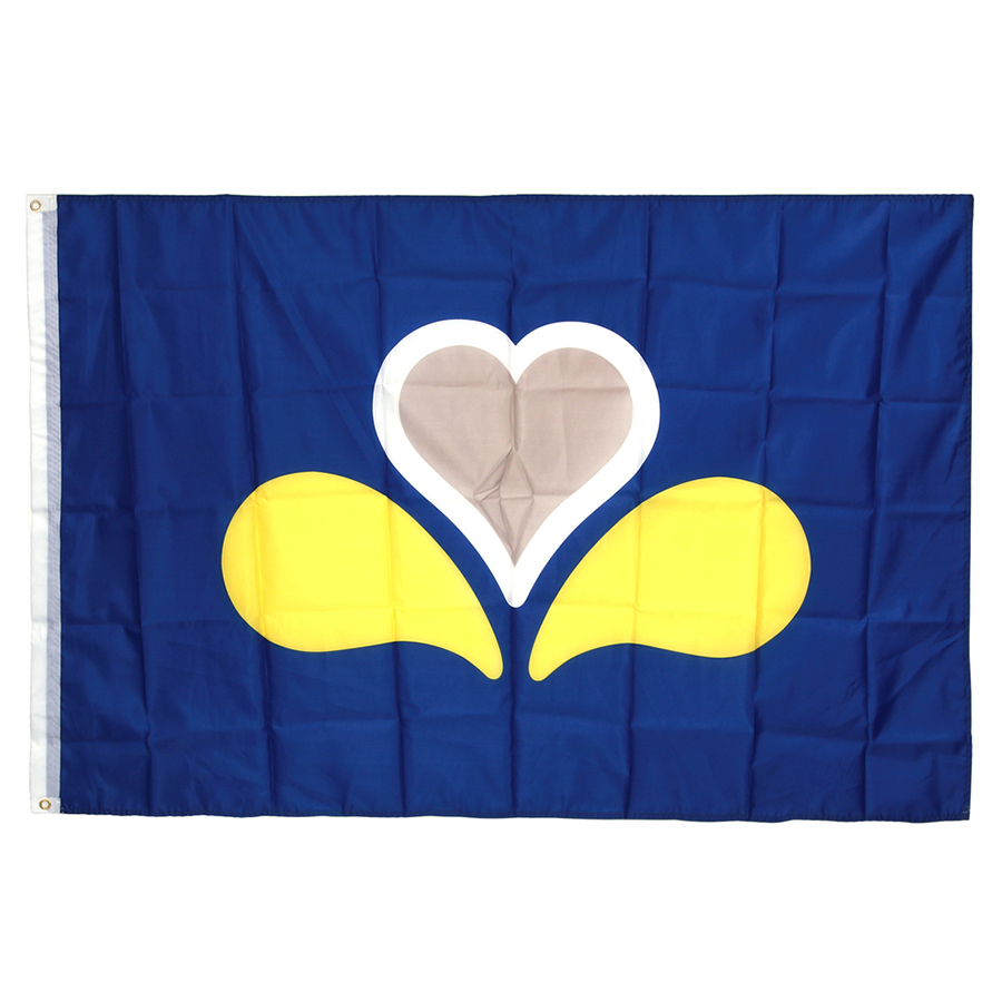 Vlag Brussel Vlag Brussel