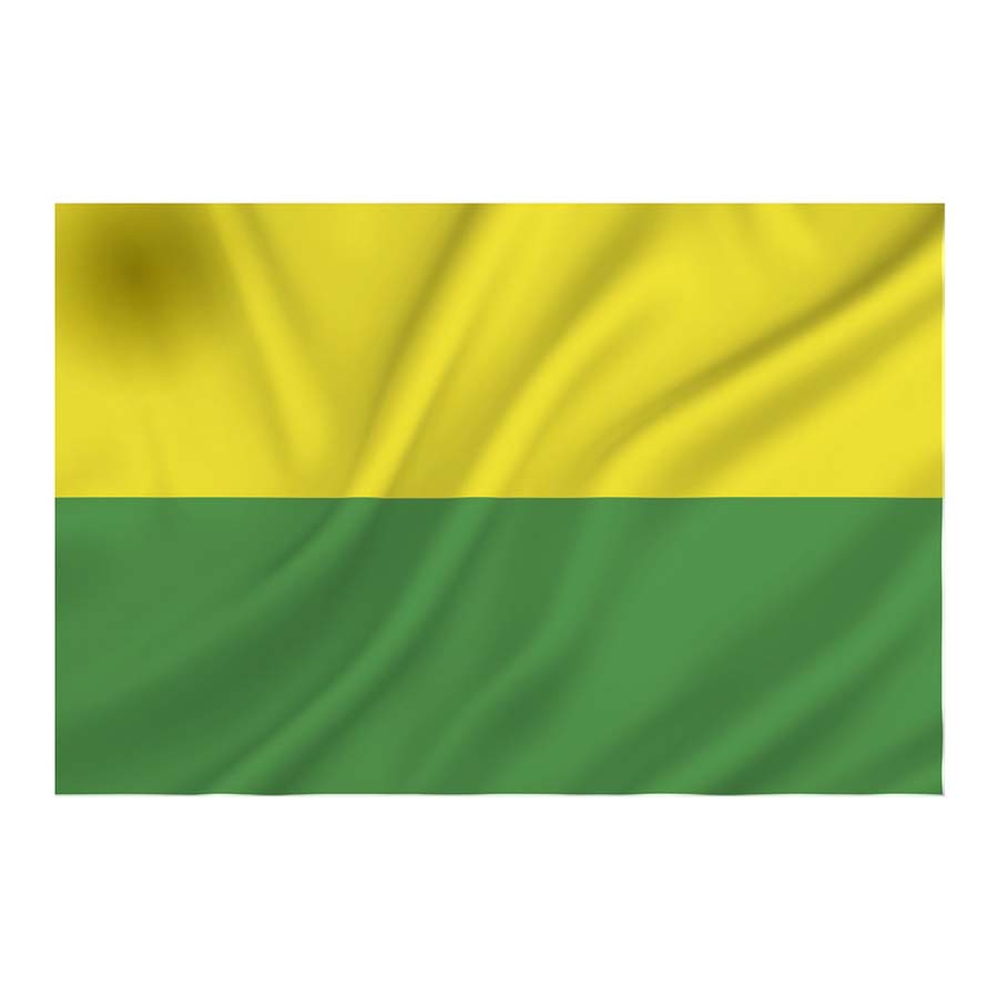 Vlag Den Haag Vlag Den Haag