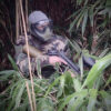 Fostex Garments Paintball overall - Thumbnail Image 13