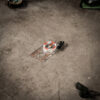 Map kompas ultimate - Thumbnail Image 2